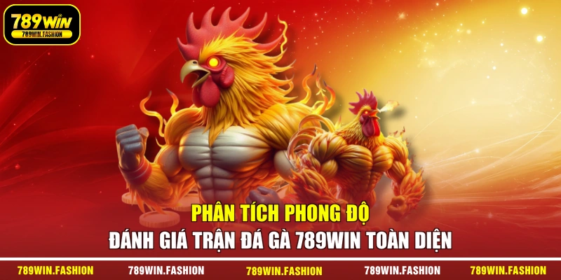 Phân tích phong độ đánh giá trận đá gà 789WIN toàn diện