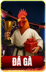đá gà 789win